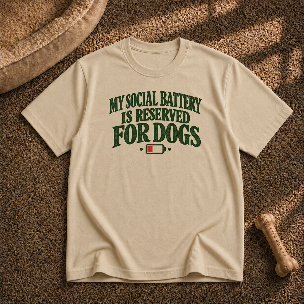 Social Battery T-Shirt