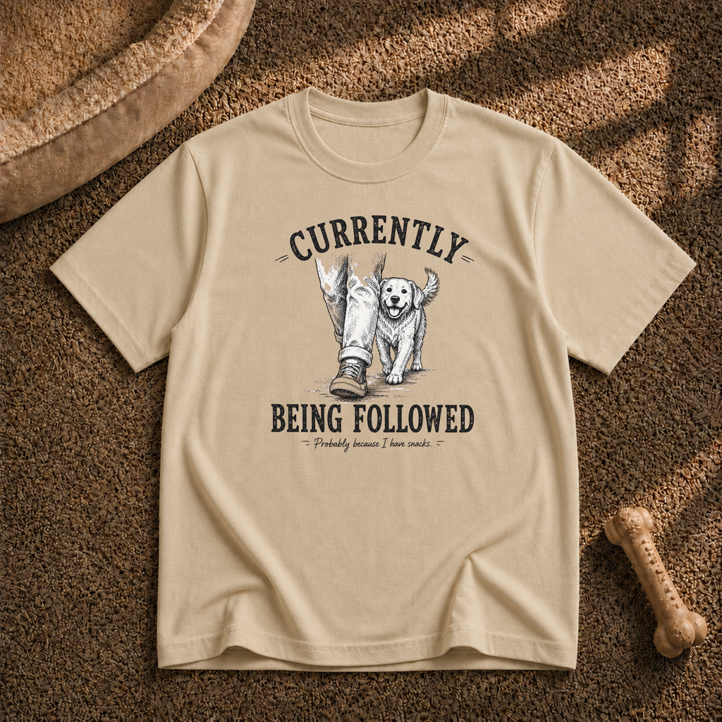 Currently Being Followed T-Shirt