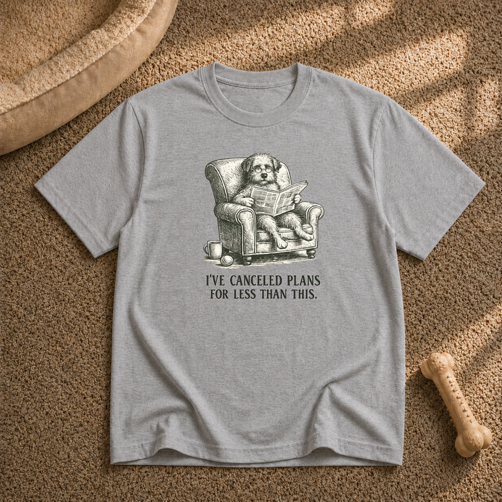 I've Canceled Plans For Less T-shirt